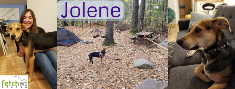 Jolene collage