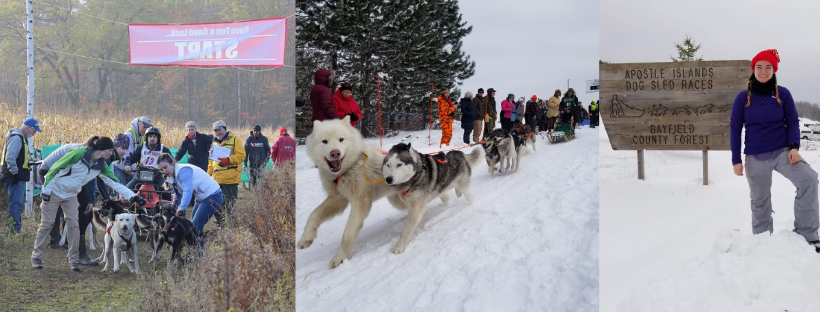 sled dog races