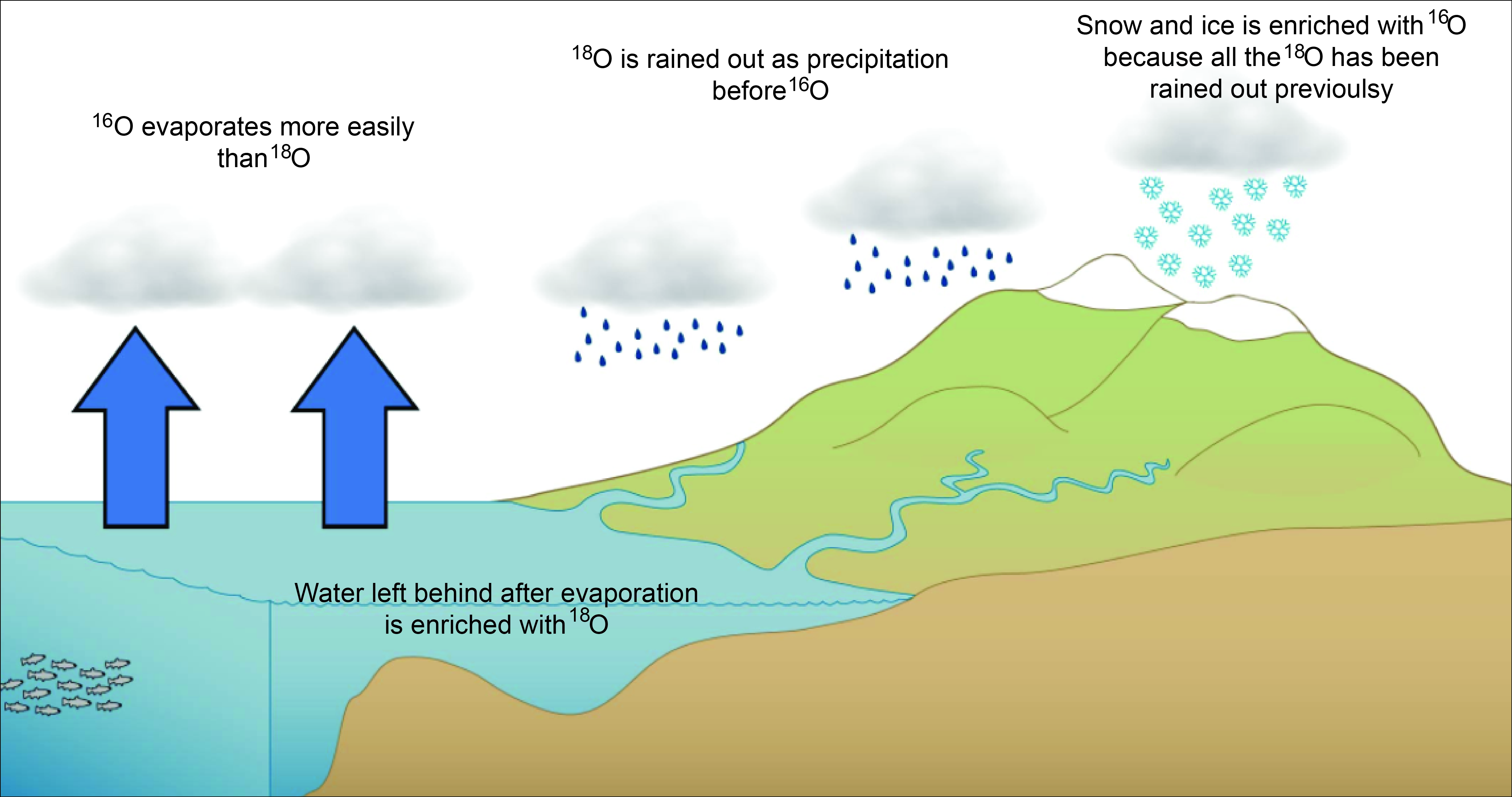 a cartoon that shows how snow falling onto mountains and creating glaciers is preferentially enriched in oxygen-16